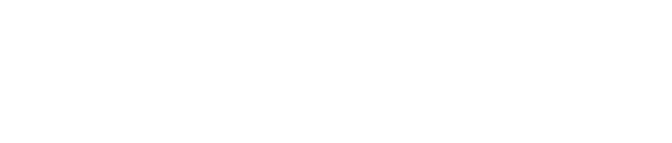 Travveda-White-logo